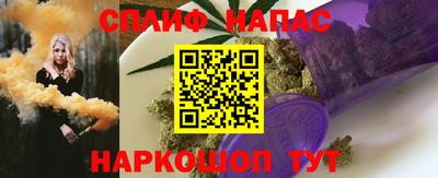 крисы Гатчина