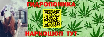 наркотики Гай
