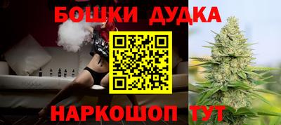 крисы Гатчина
