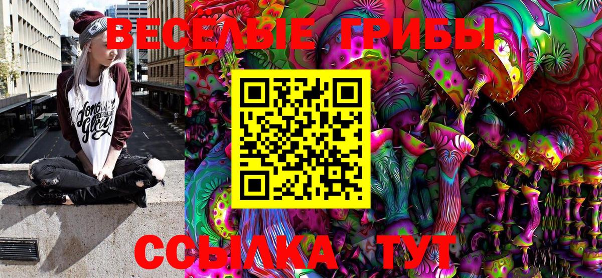 Клин  Псилоцибиновые грибы Psilocybine cubensis  Вход с VPN 