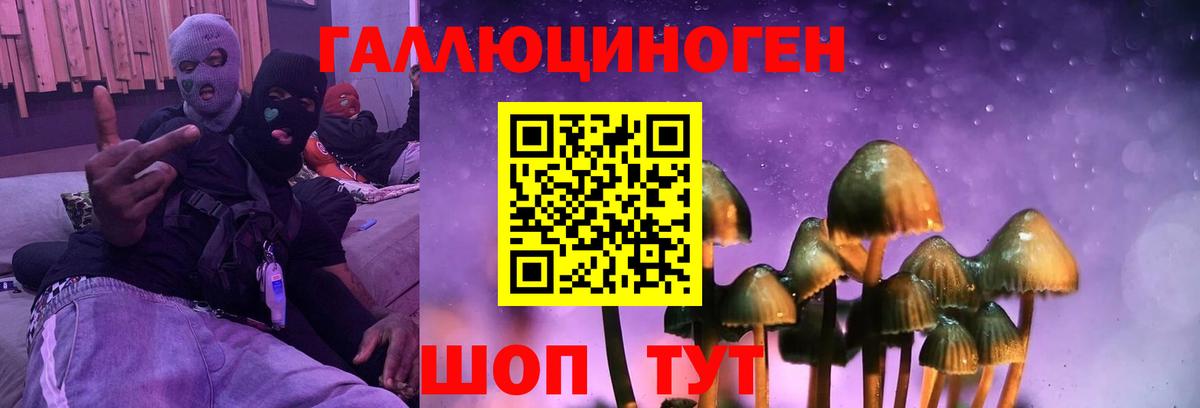 Псилоцибиновые грибы мицелий Клин